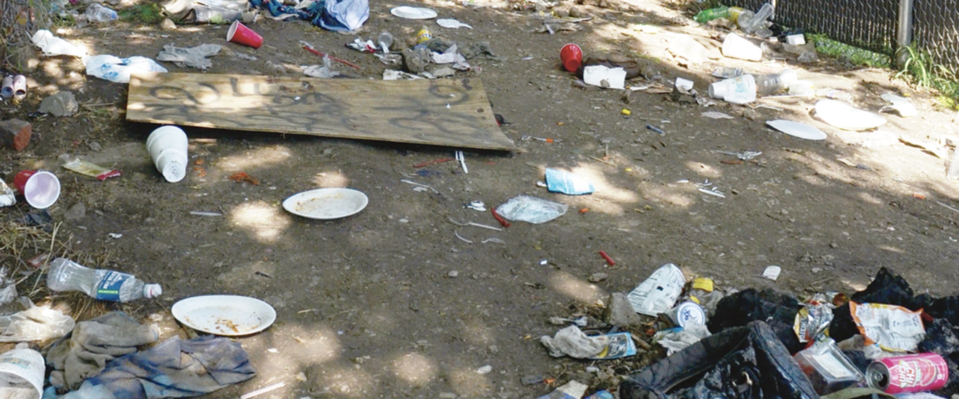 Addressing Poverty and Homelessness in Southwestern Missouri: Insights from Local Organizations