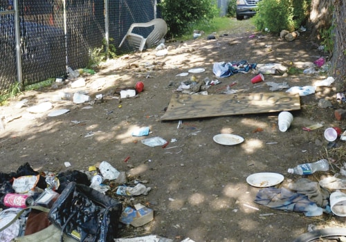 Addressing Poverty and Homelessness in Southwestern Missouri: Insights from Local Organizations